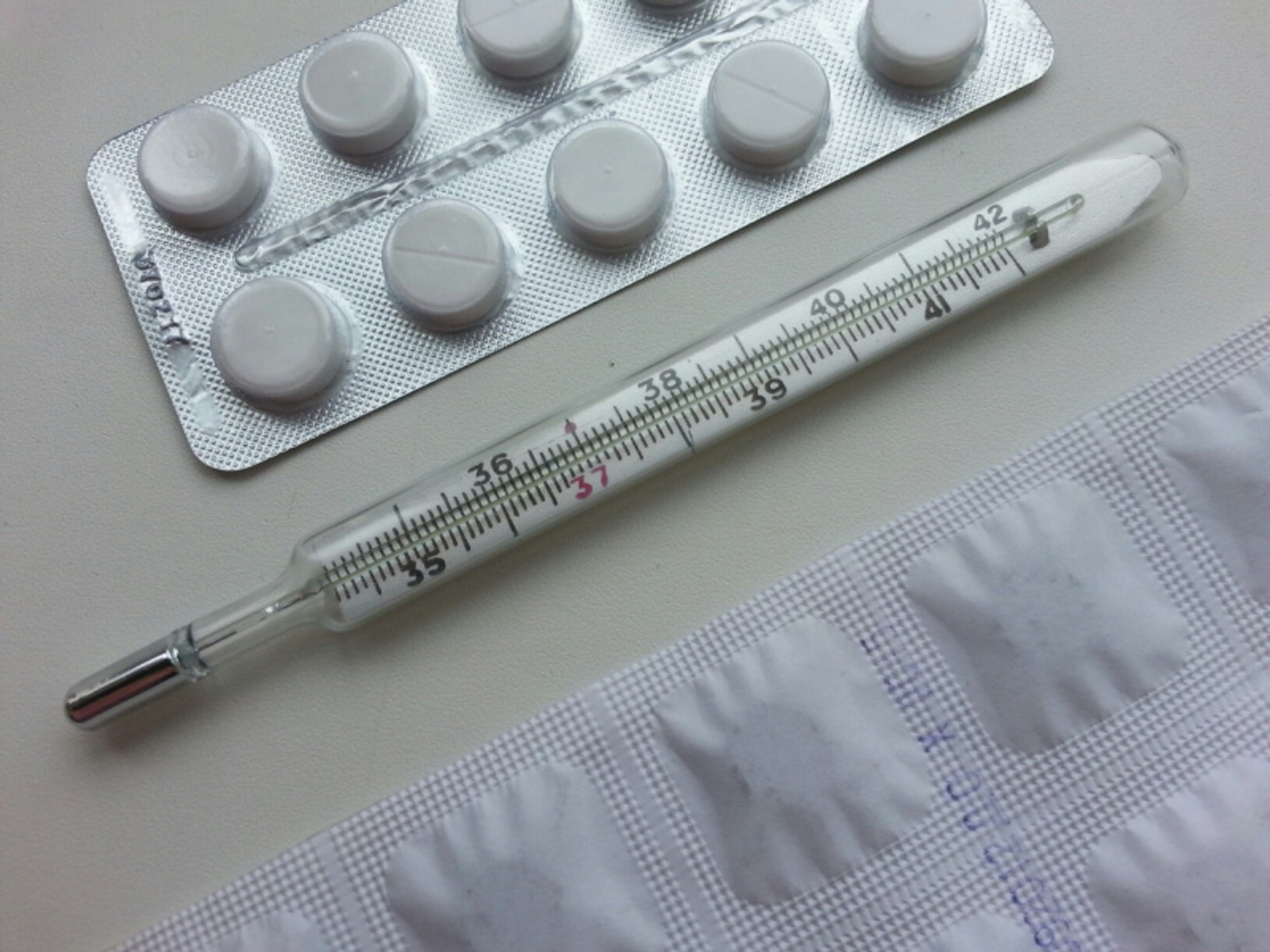 Фото Елены Колоколовой.