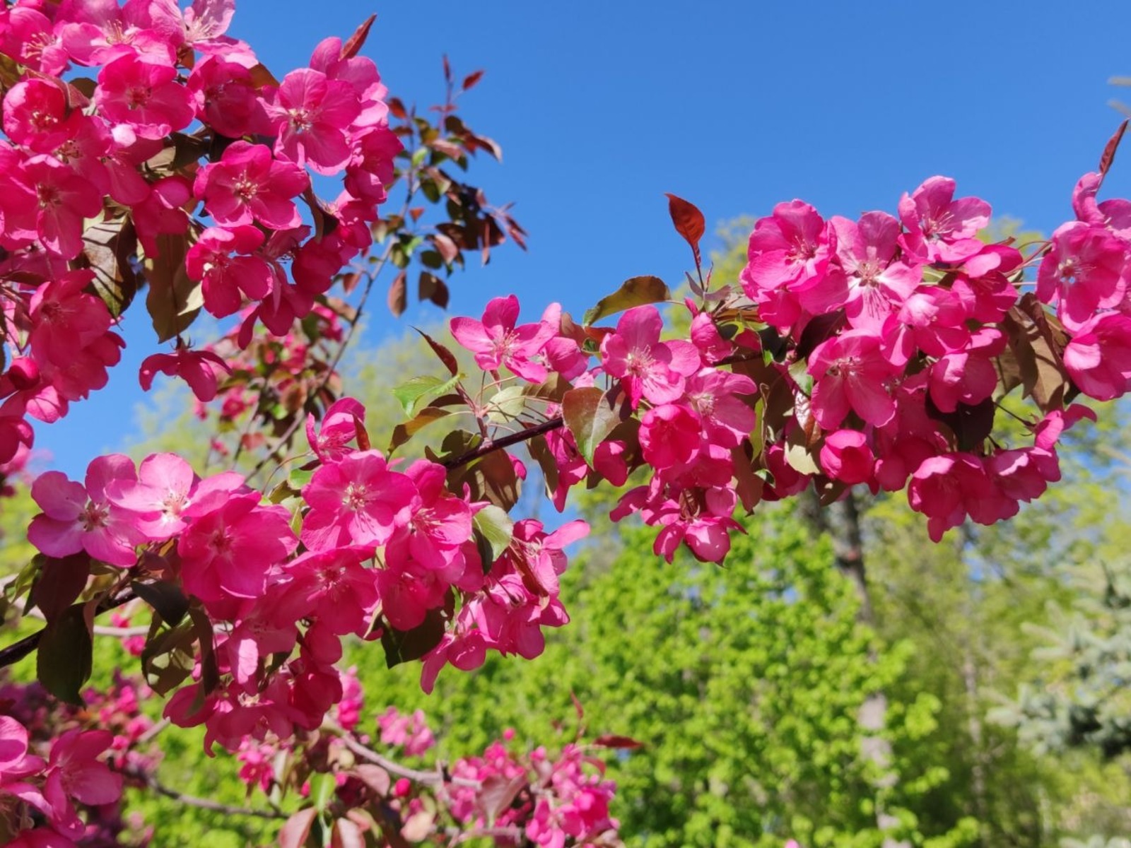 Дарьи Святохиной.