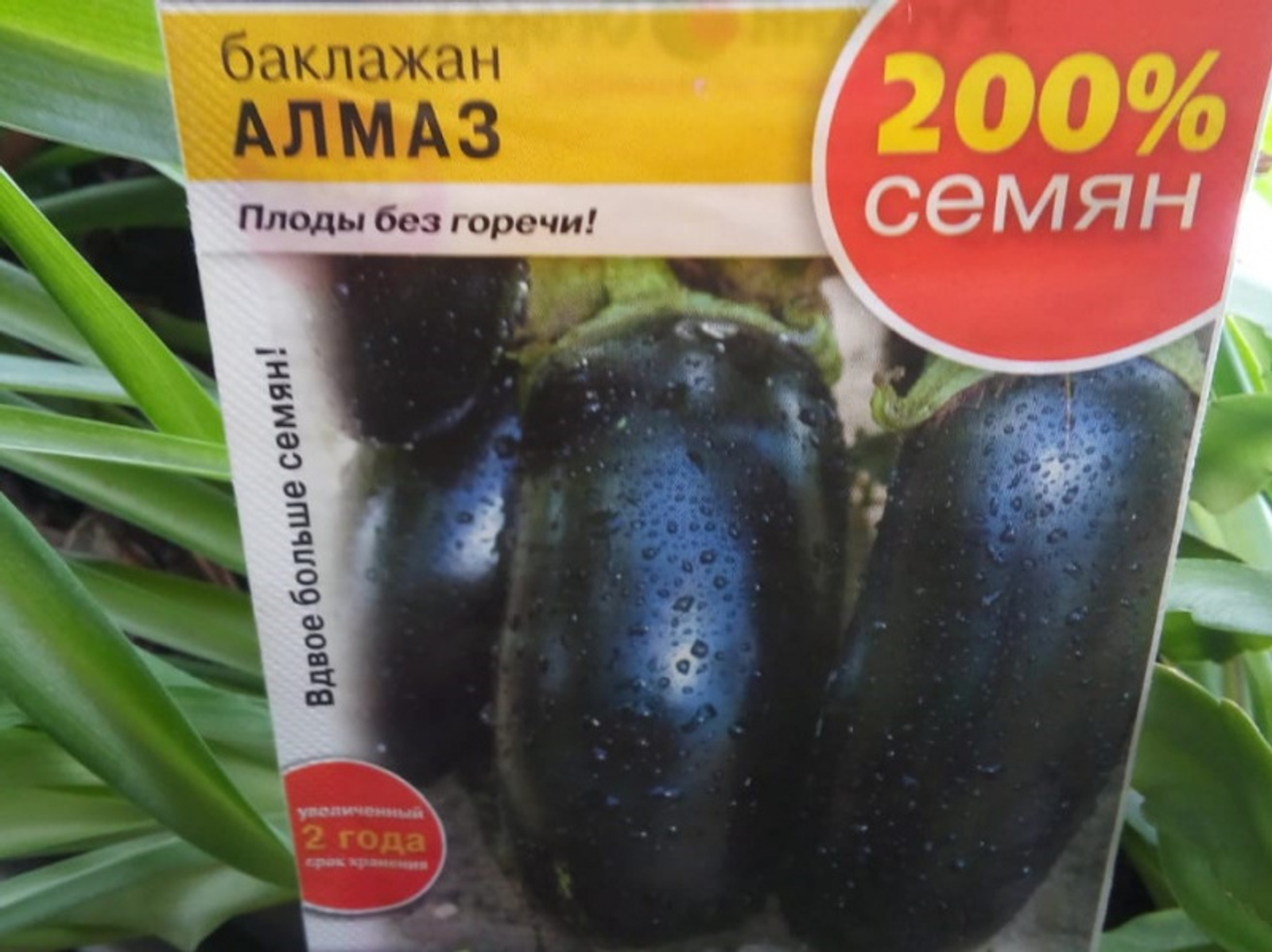 Фото автора.