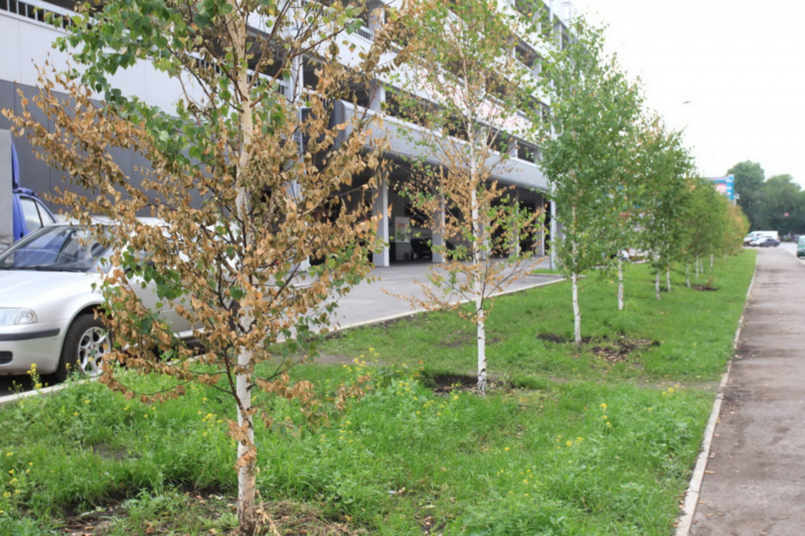 Фото Олега Яровикова.