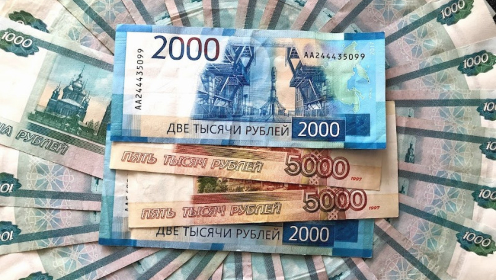 Елены Колоколовой.