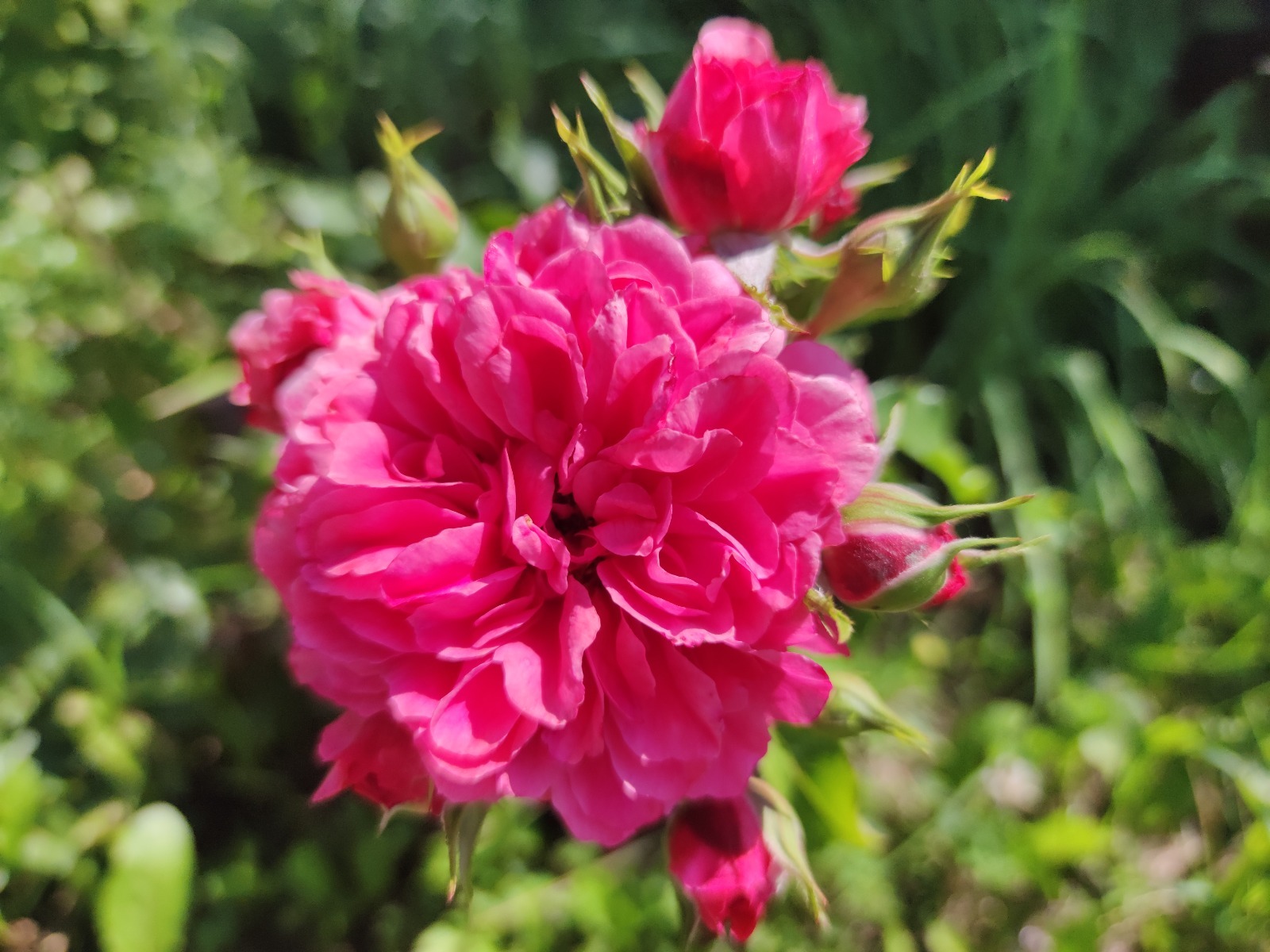 Дарьи Святохиной.