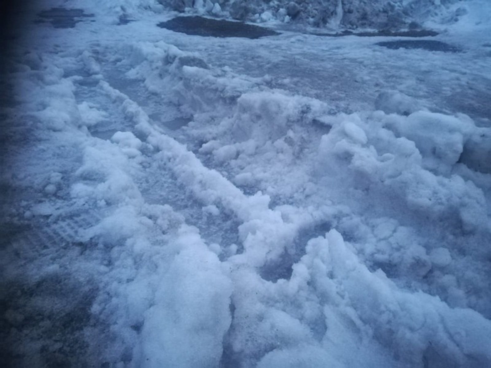 Дарьи Святохиной.