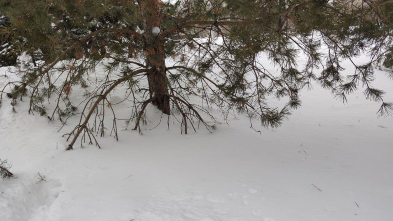 Дарьи Святохиной.