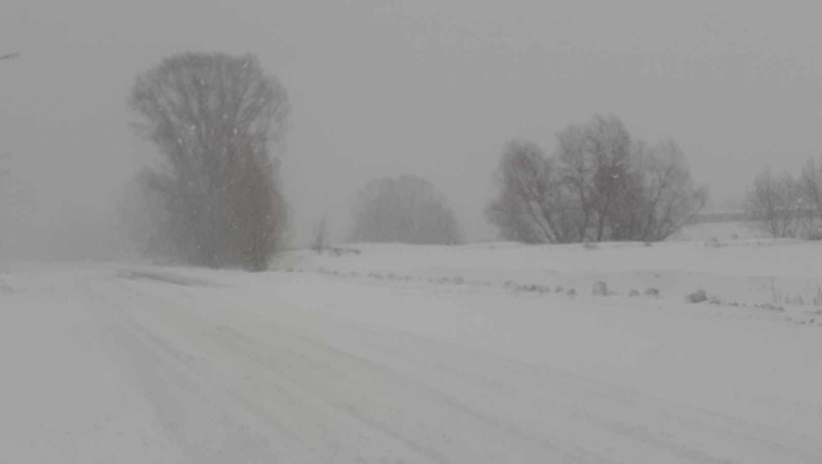 Владимира Шакиева. «Общественная электронная газета».