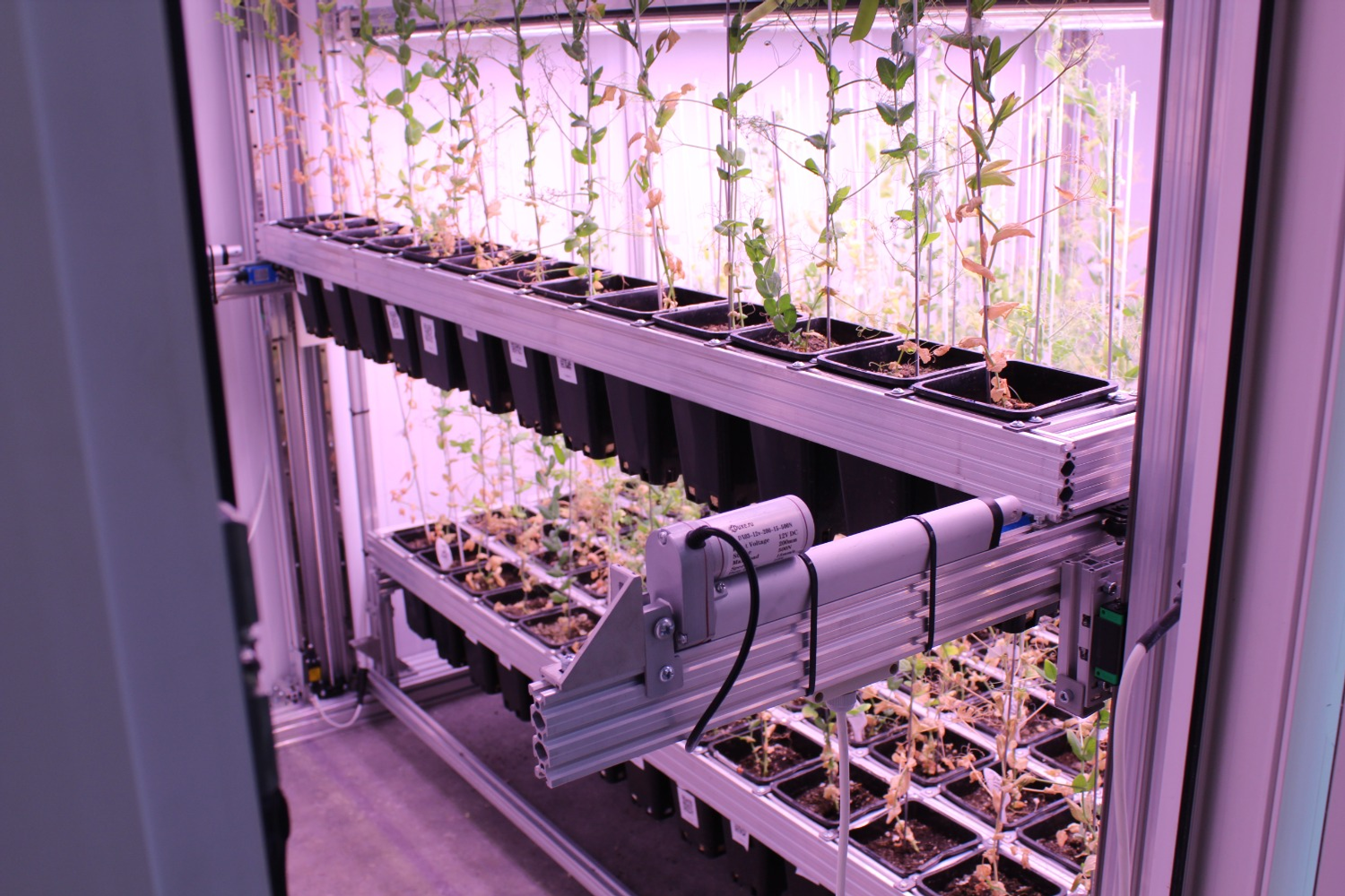 Дарьи Святохиной. «Общественная электронная газета».