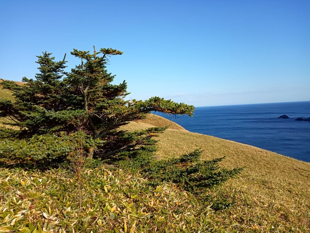 предоставлено Сергеем Сиротой.