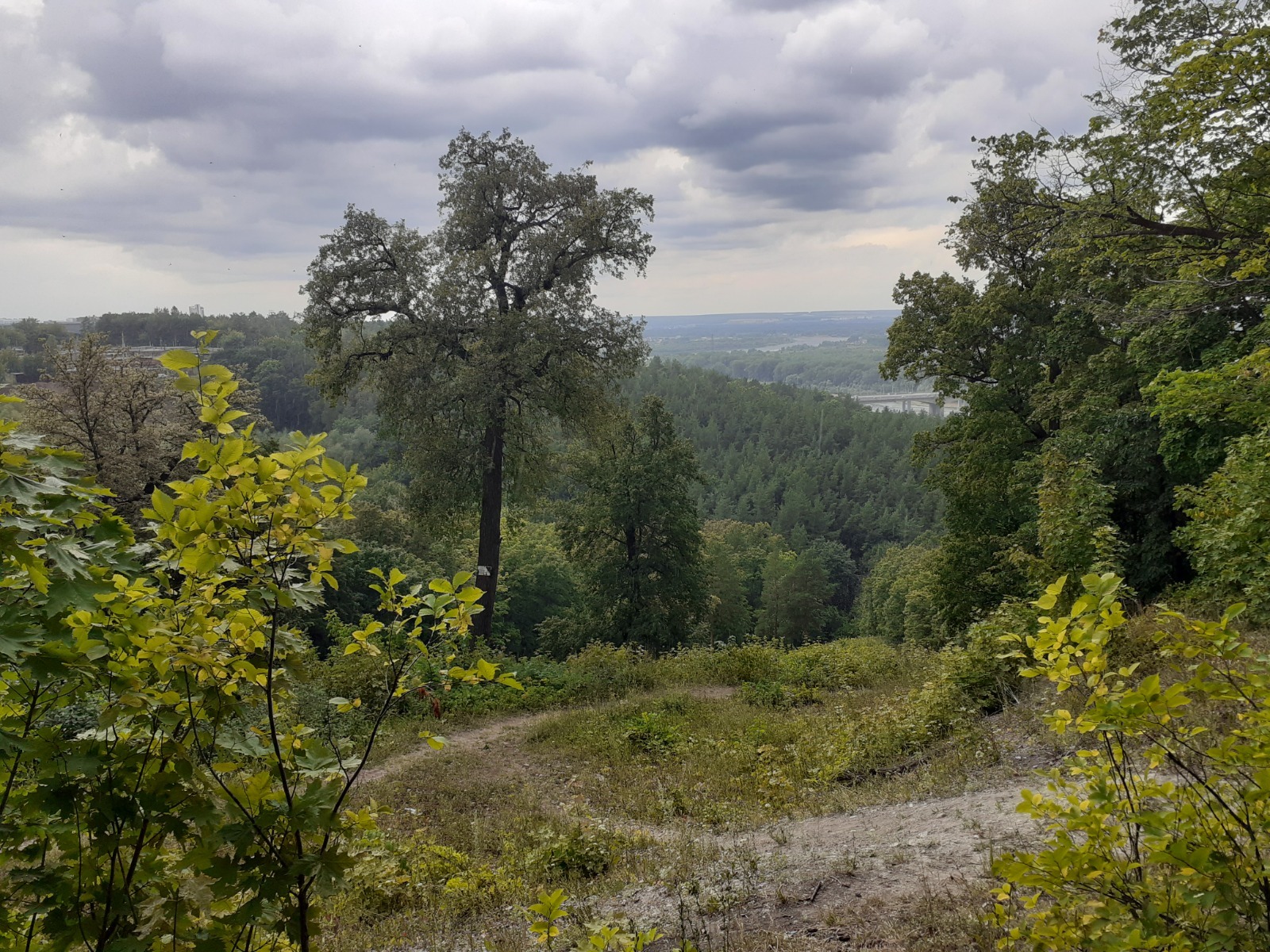 Владимира Шакиева.