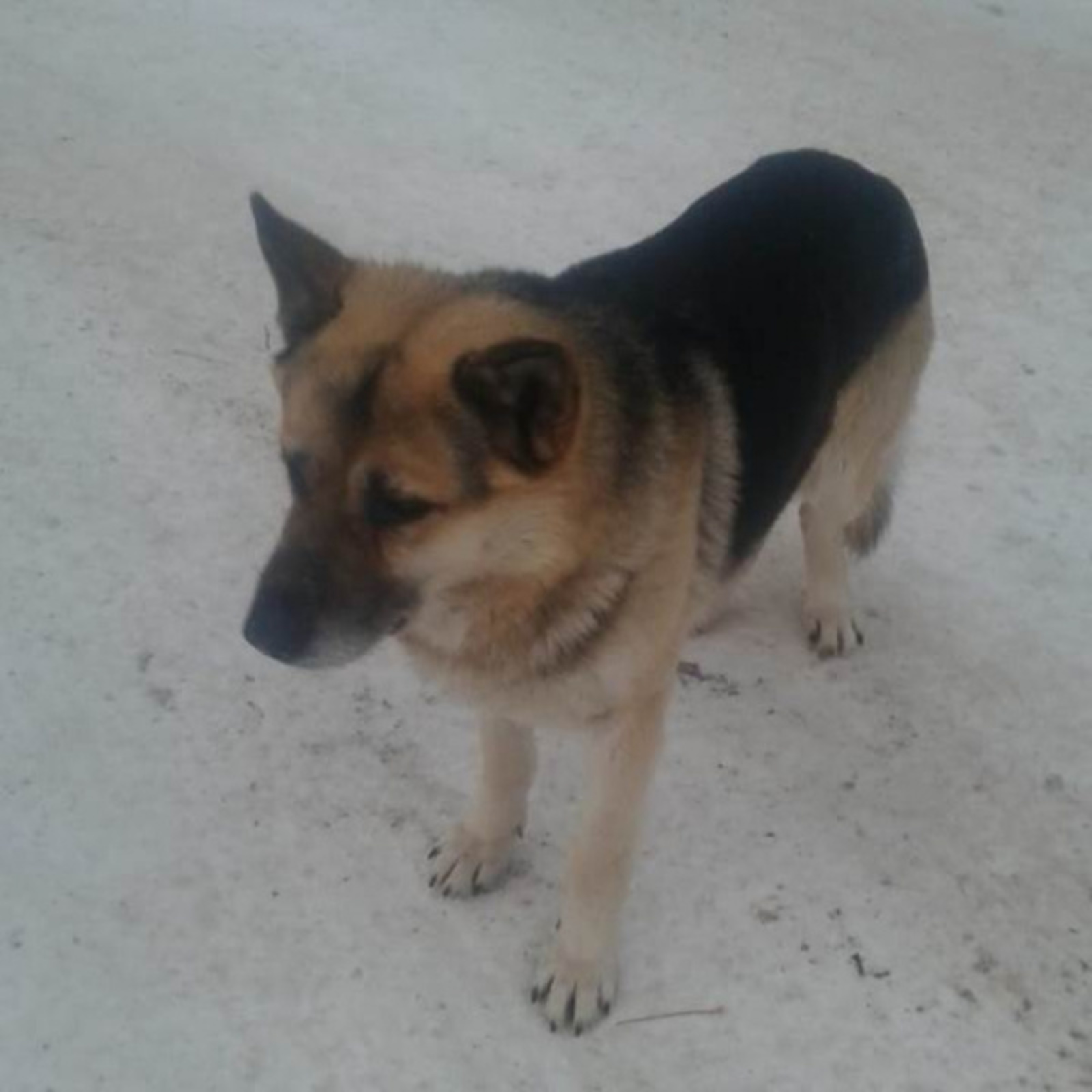 Фото автора.