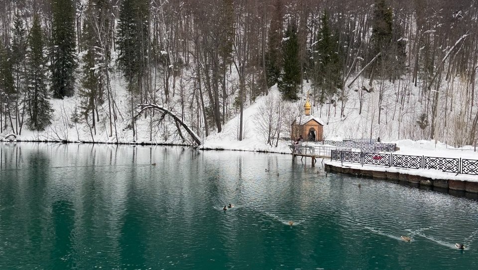 Елены Колоколовой. «Общественная электронная газета».