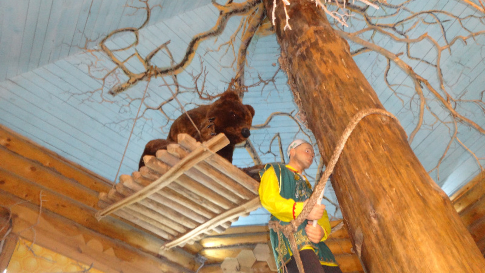 Елены Колоколовой.