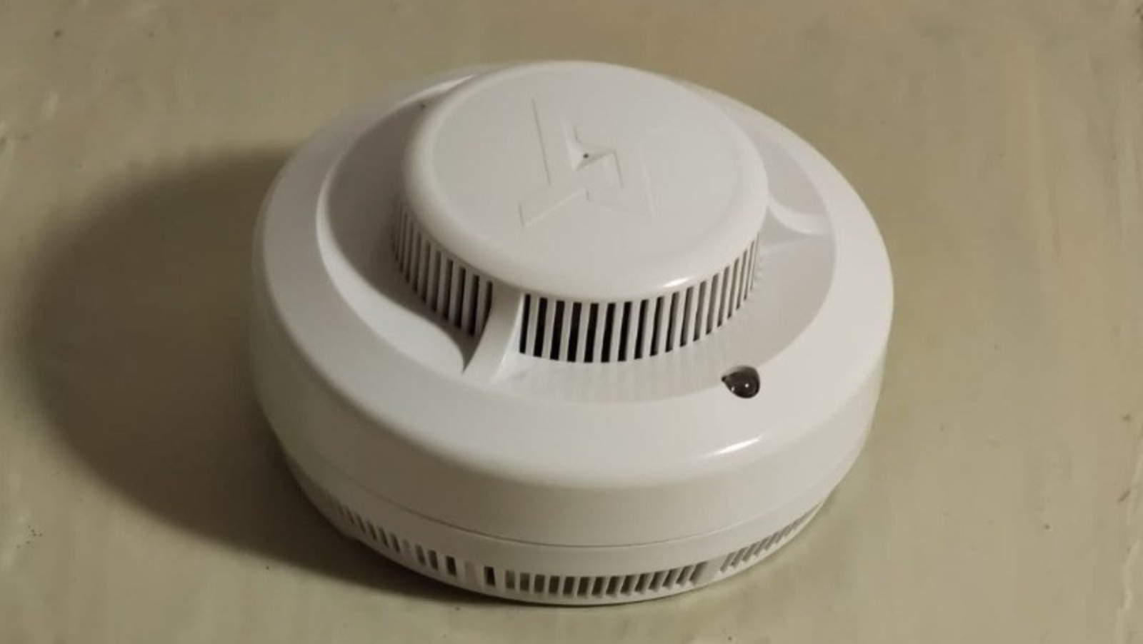 Дарьи Святохиной.