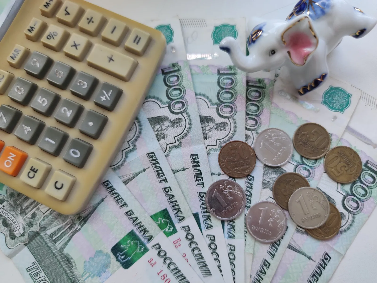 Дарьи Святохиной. «Общественная электронная газета».