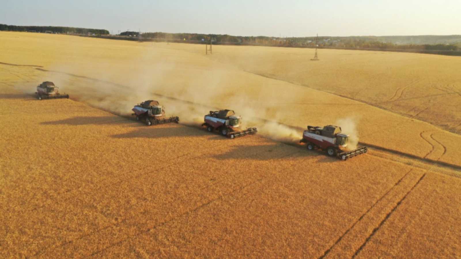 Фото со страницы Радия Хабирова в соцсети.