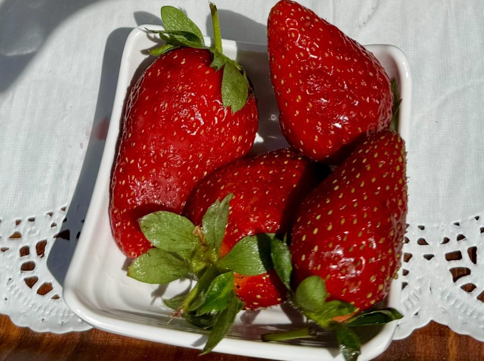 Елены Колоколовой.