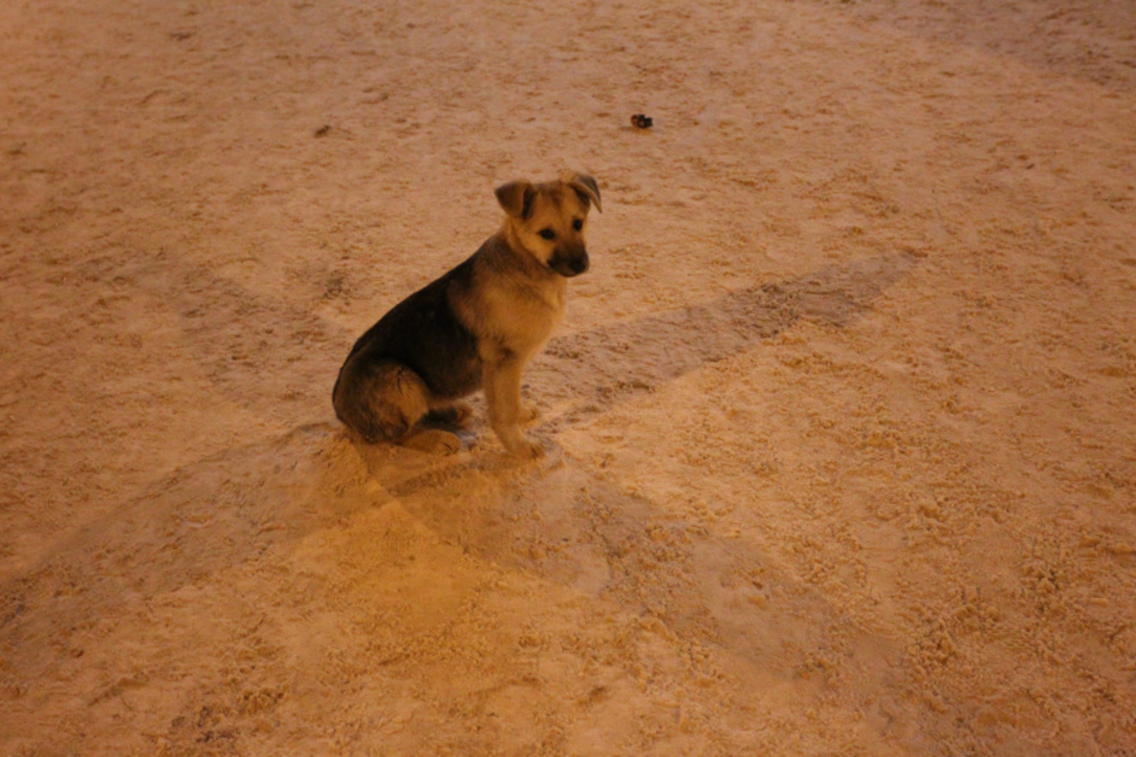 Фото Олега Яровикова.