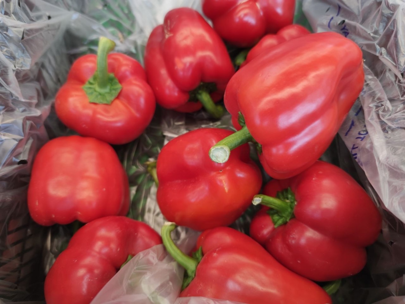 Дарьи Святохиной.