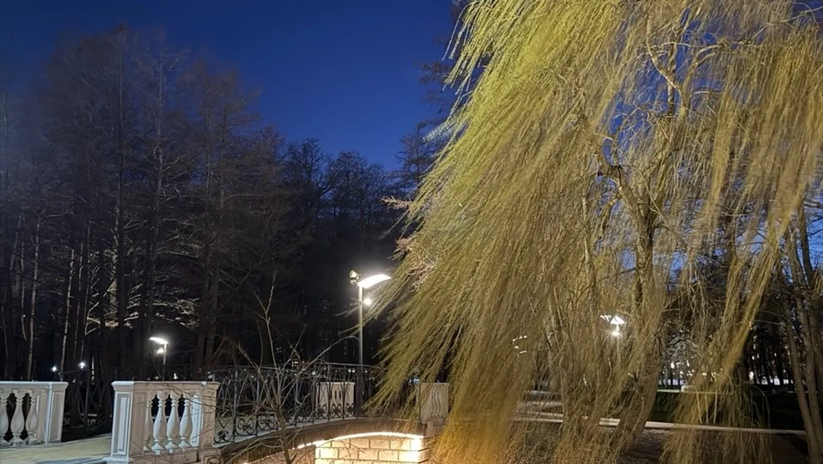 Елены Колоколовой.  «Общественная электронная газета».