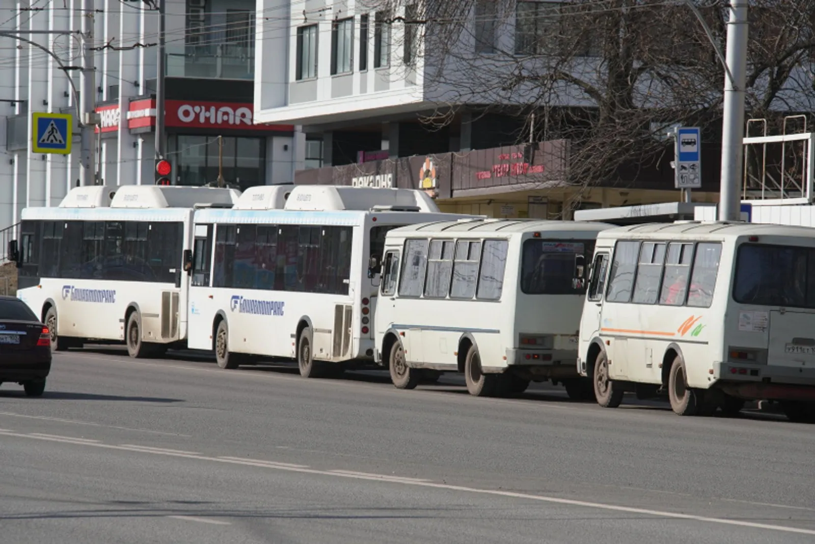 Фото Олега Яровикова.