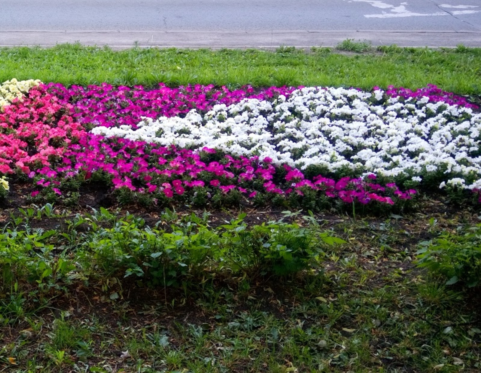 Фото Васили Саитовой.