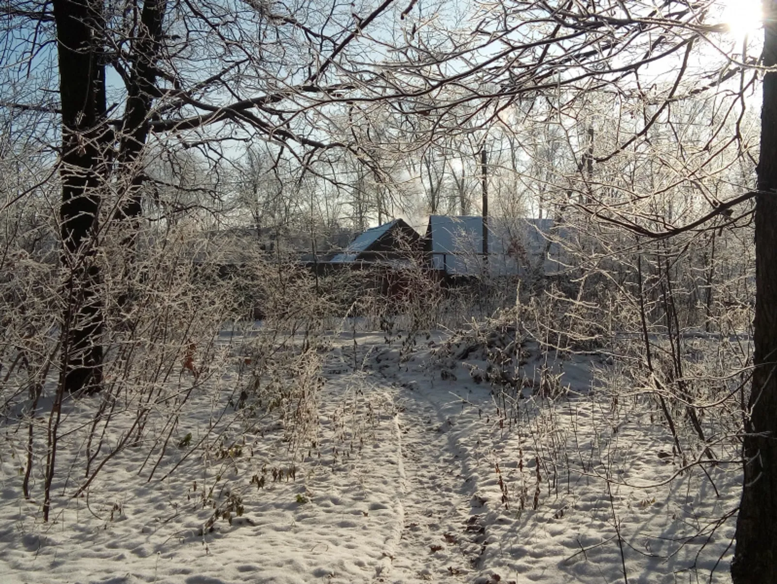 Фото автора.
