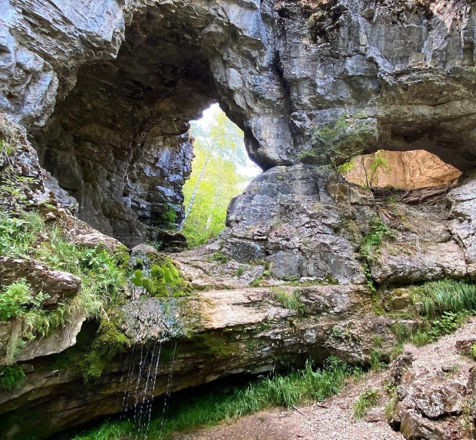 Елены Колоколовой.