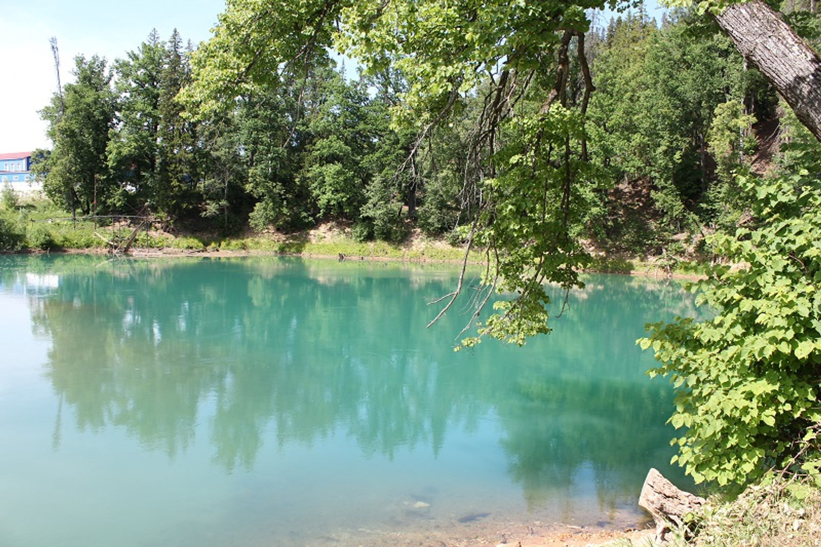 Фото автора.