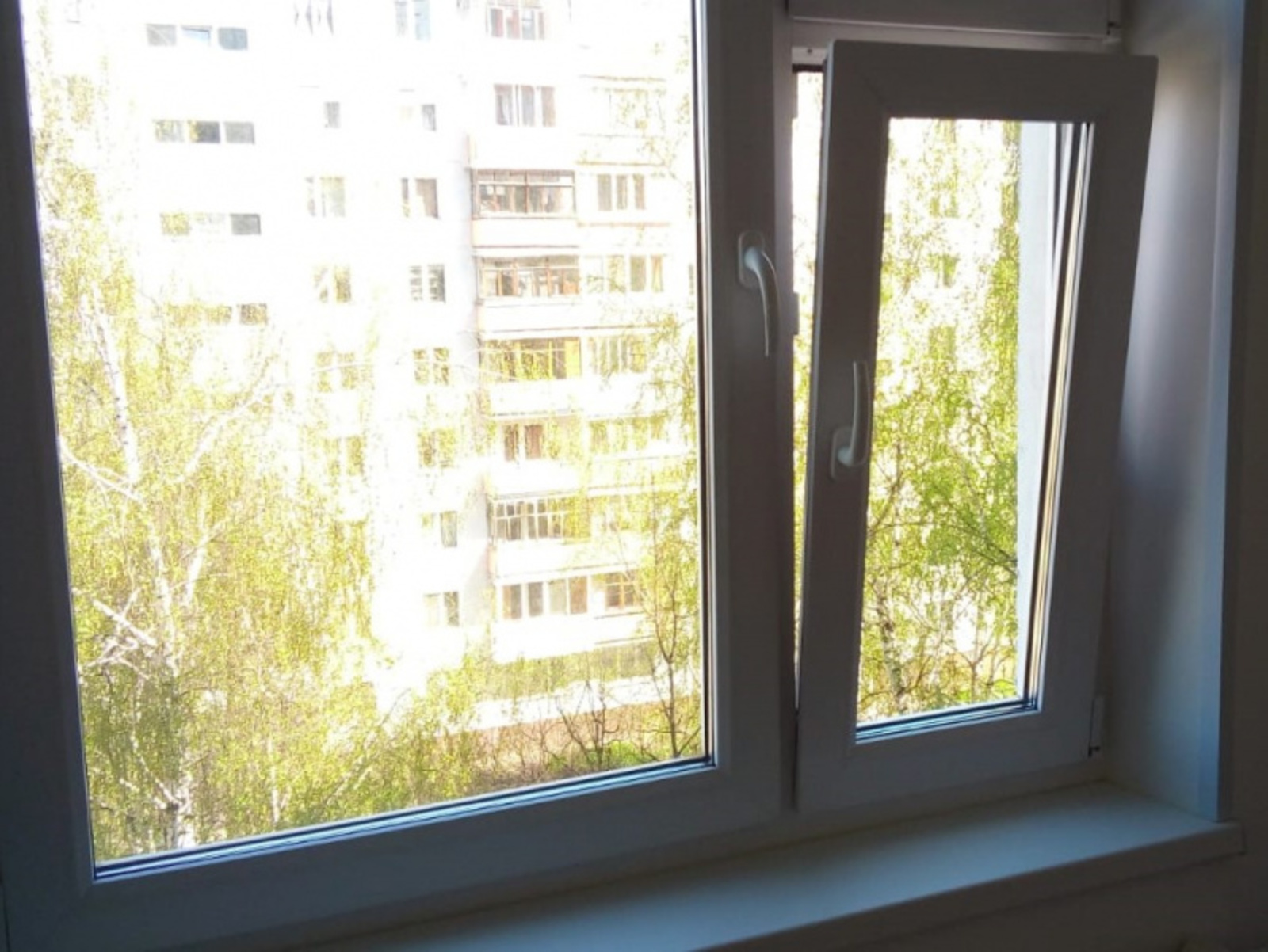 Фото автора.