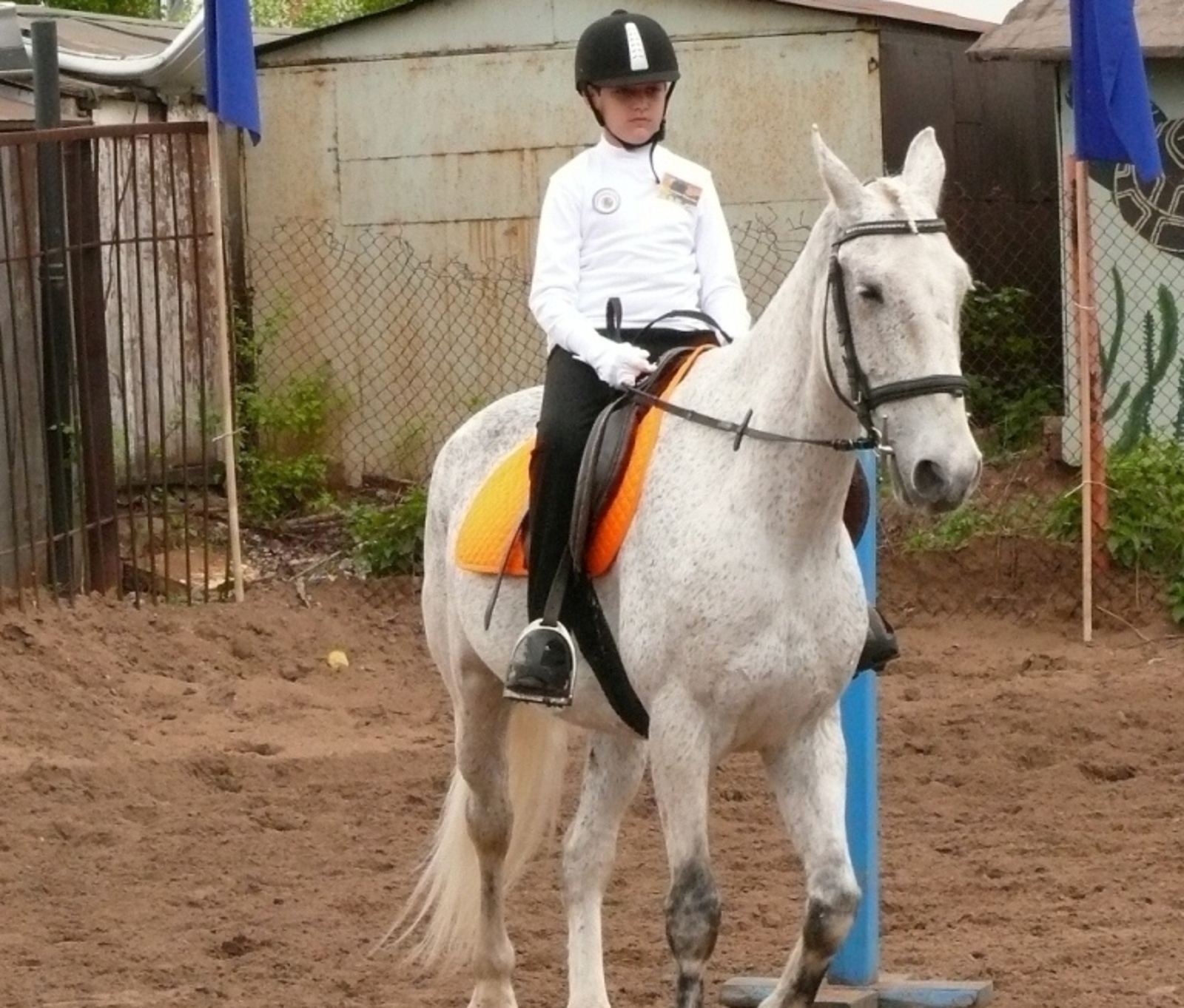 Фото автора.