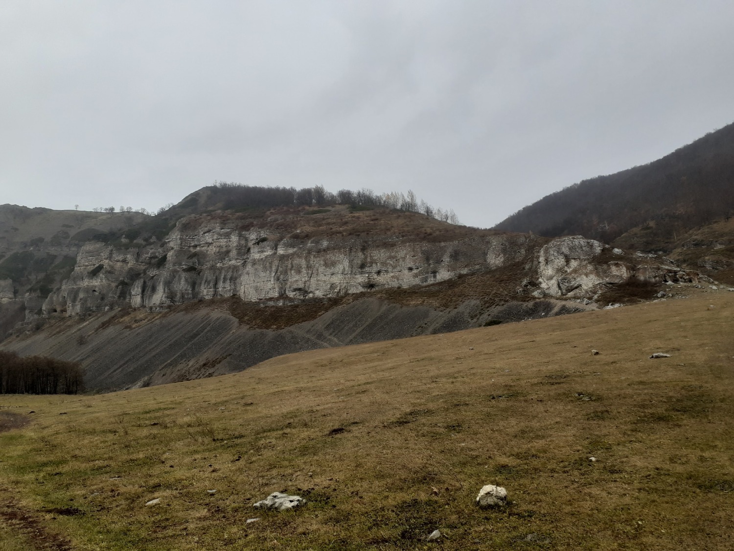 Владимира Шакиева.