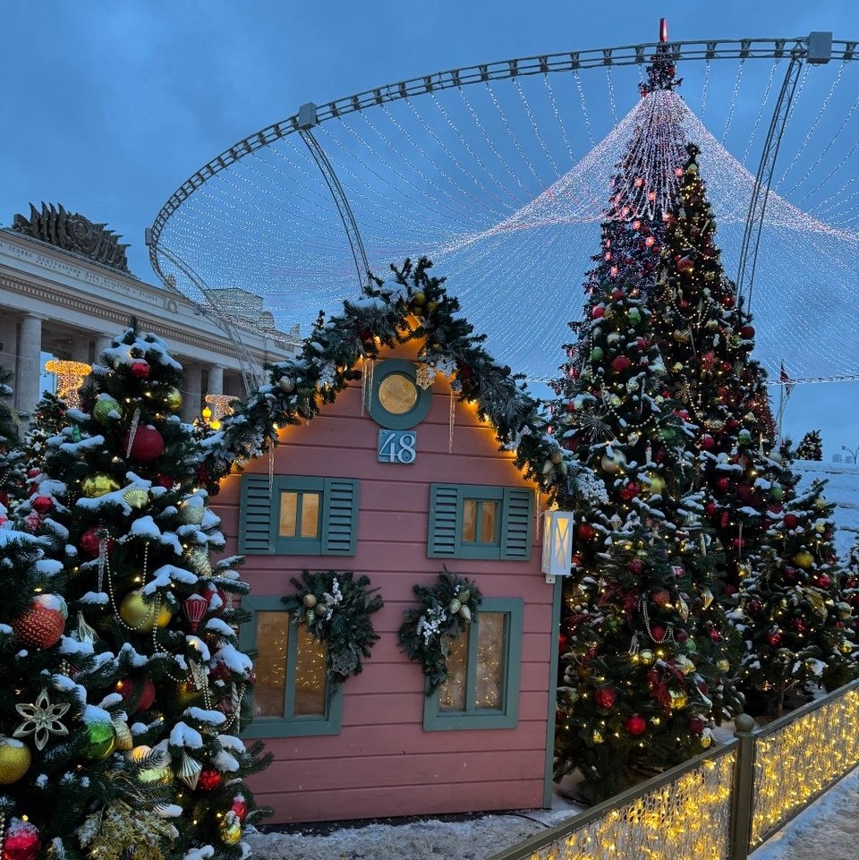 Елены Колоколовой. «Общественная электронная газета».