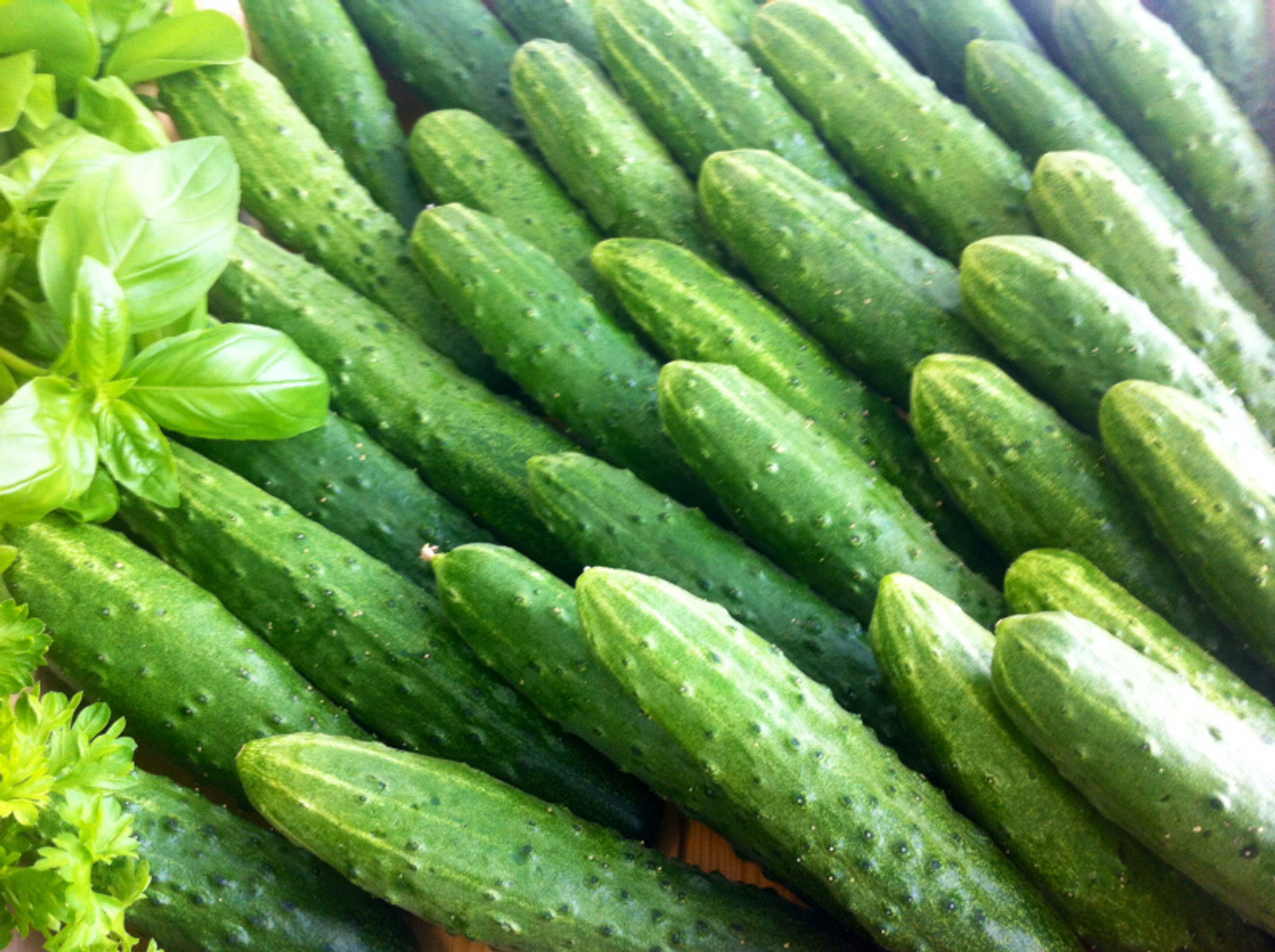 Фото предоставлено ИА "Башинформ".