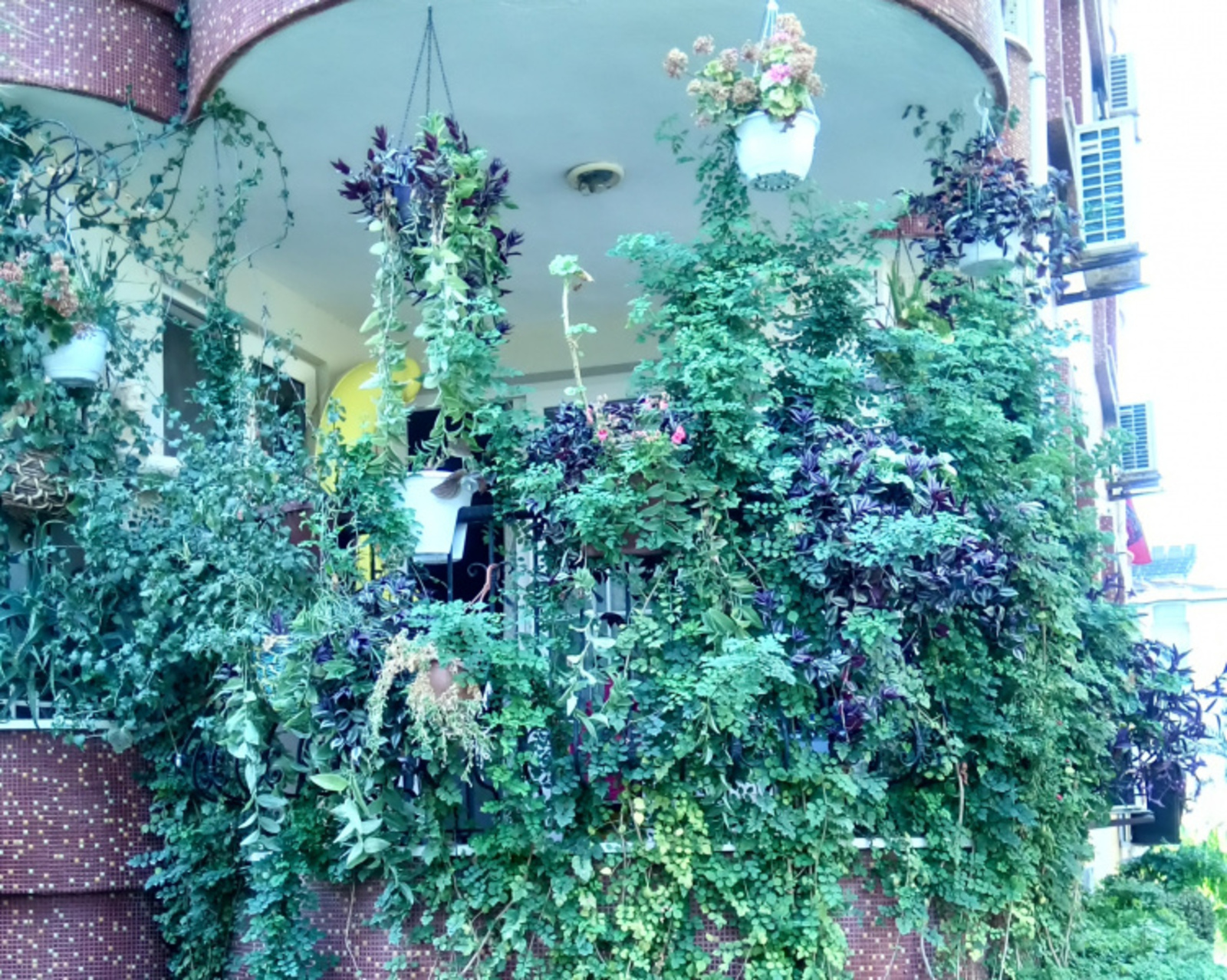 Фото Васили Саитовой.