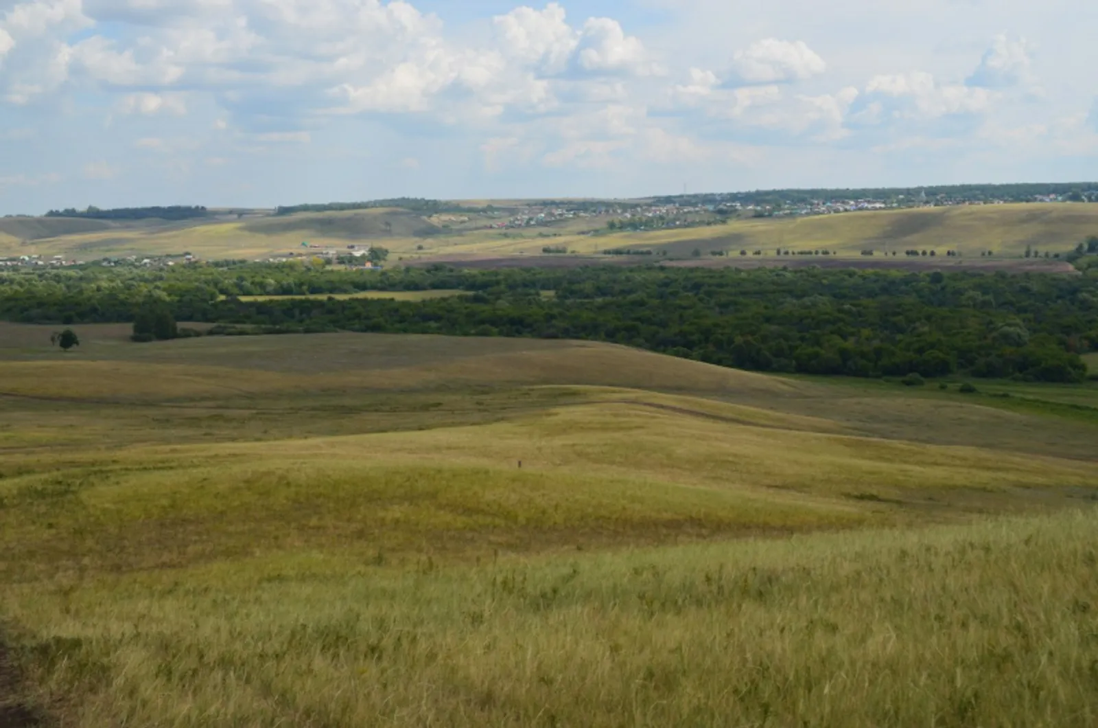 Фото автора.