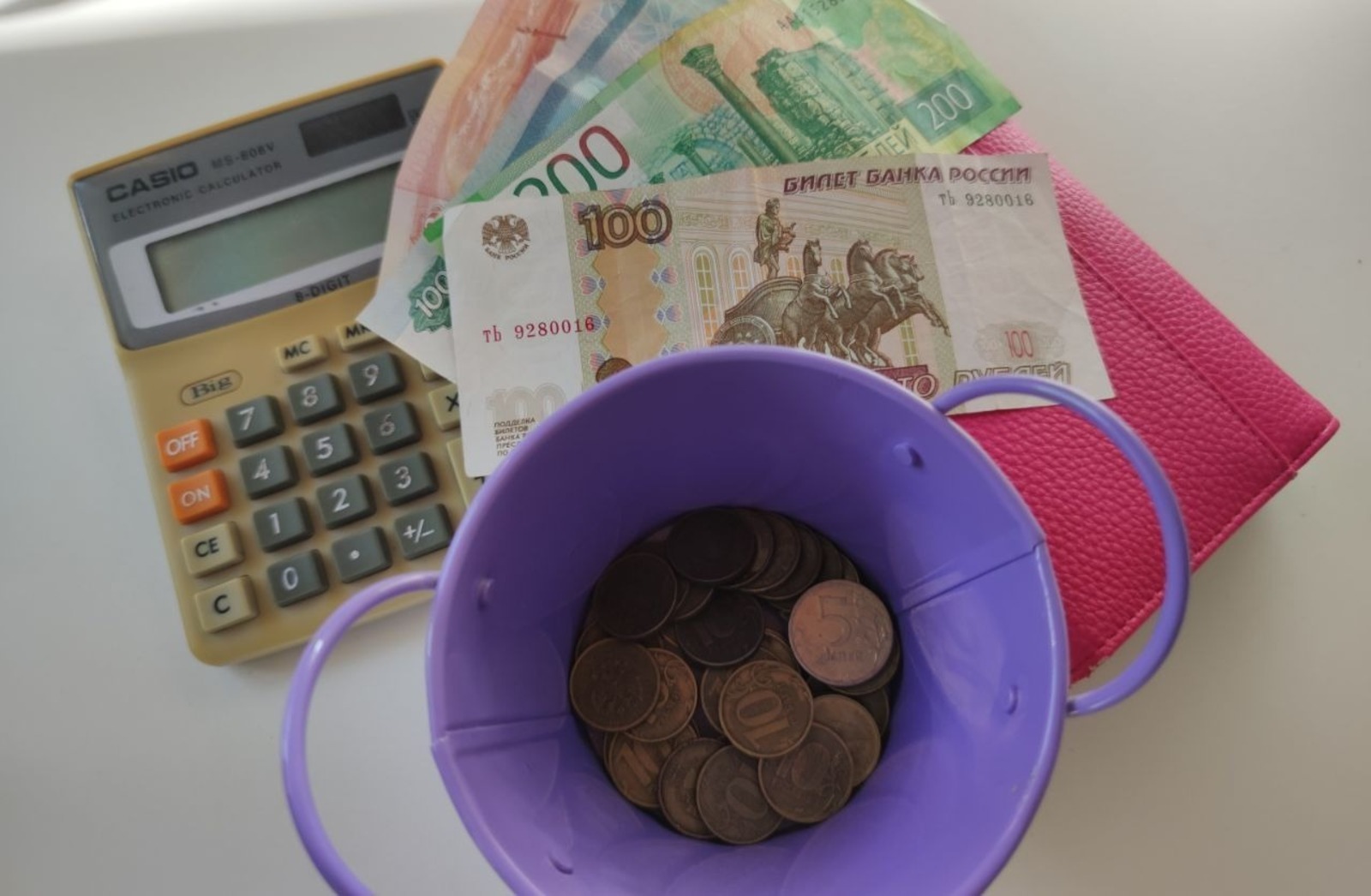 Дарьи Святохиной. «Общественная электронная газета».