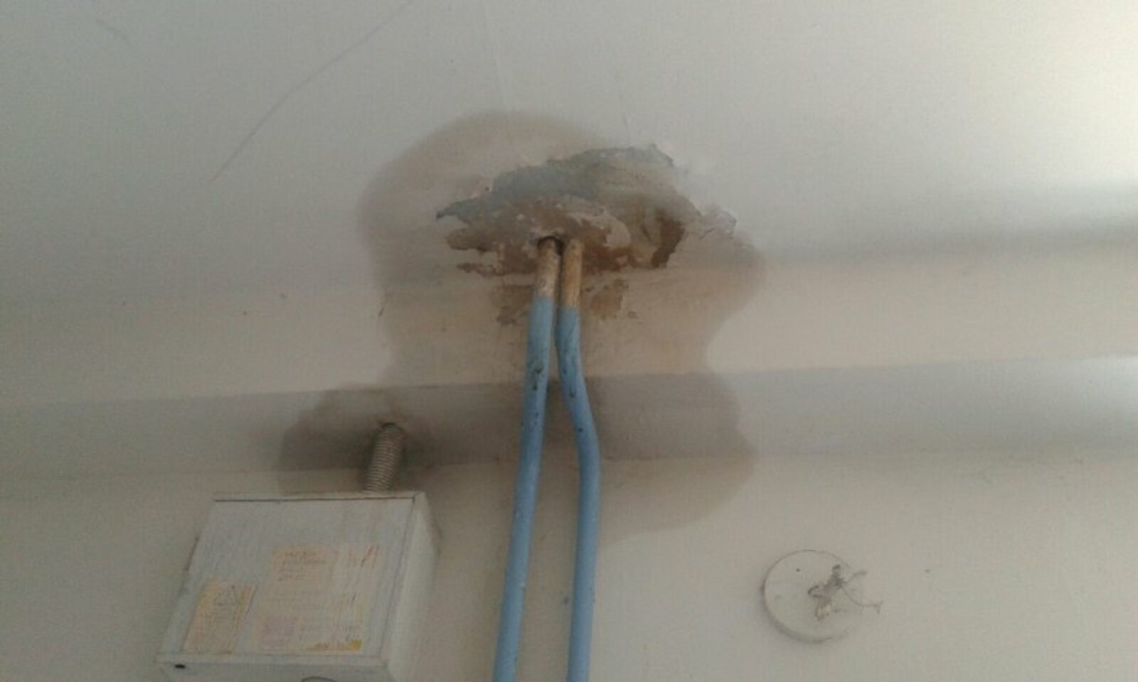 Фото предоставлено Лесей Шаймардановой.