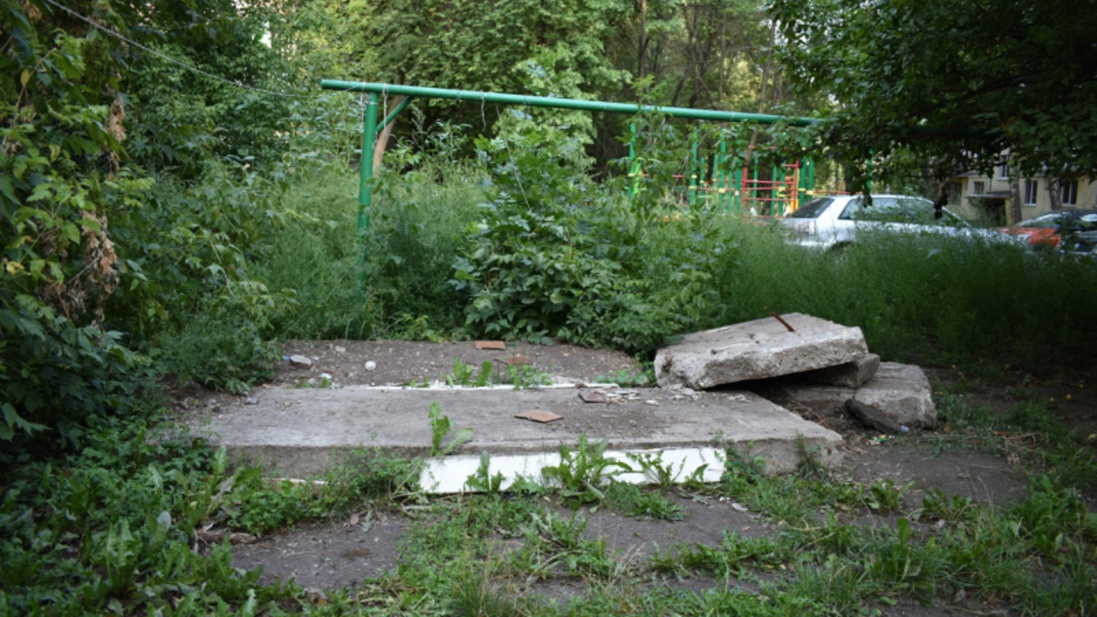 Фото автора.