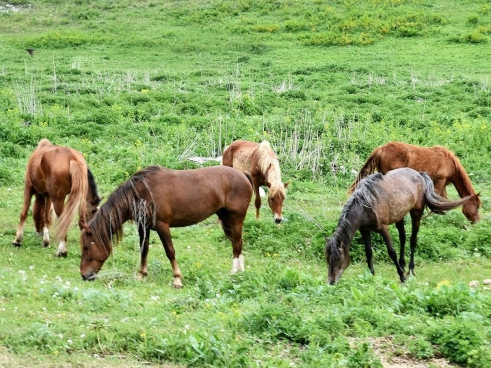 Фото Елены Колоколовой.