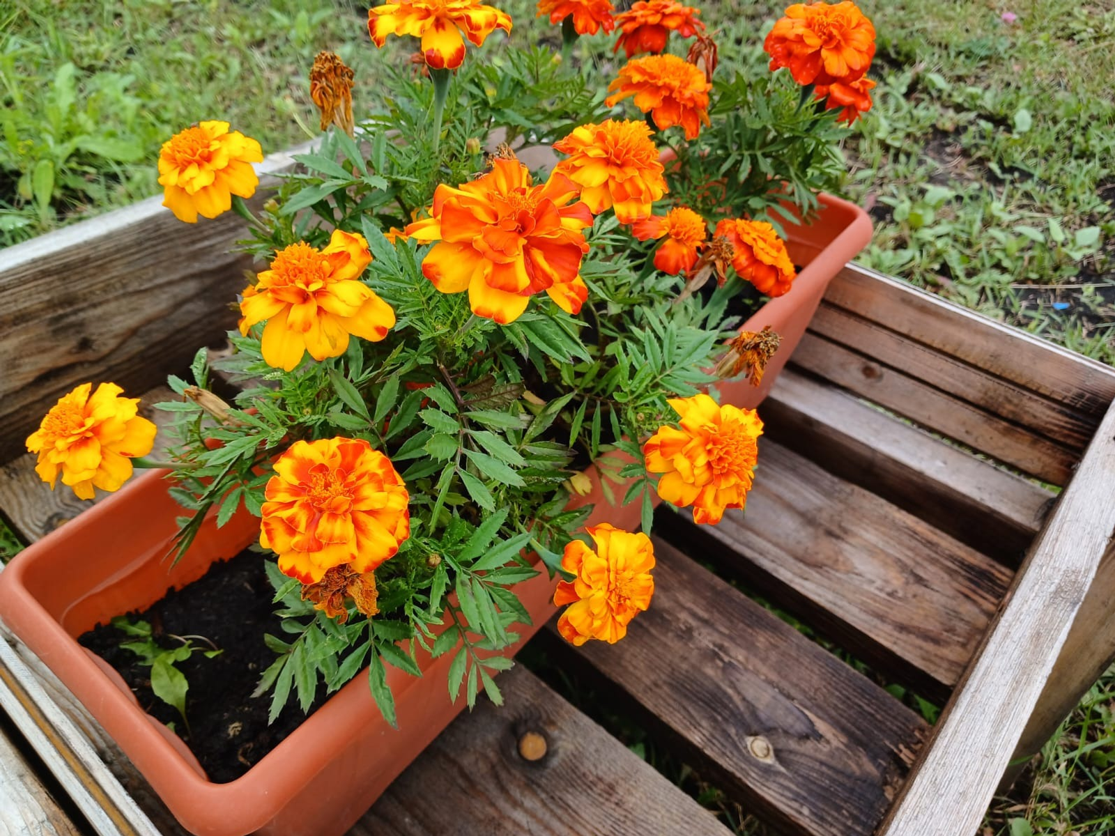 Васили Саитовой.