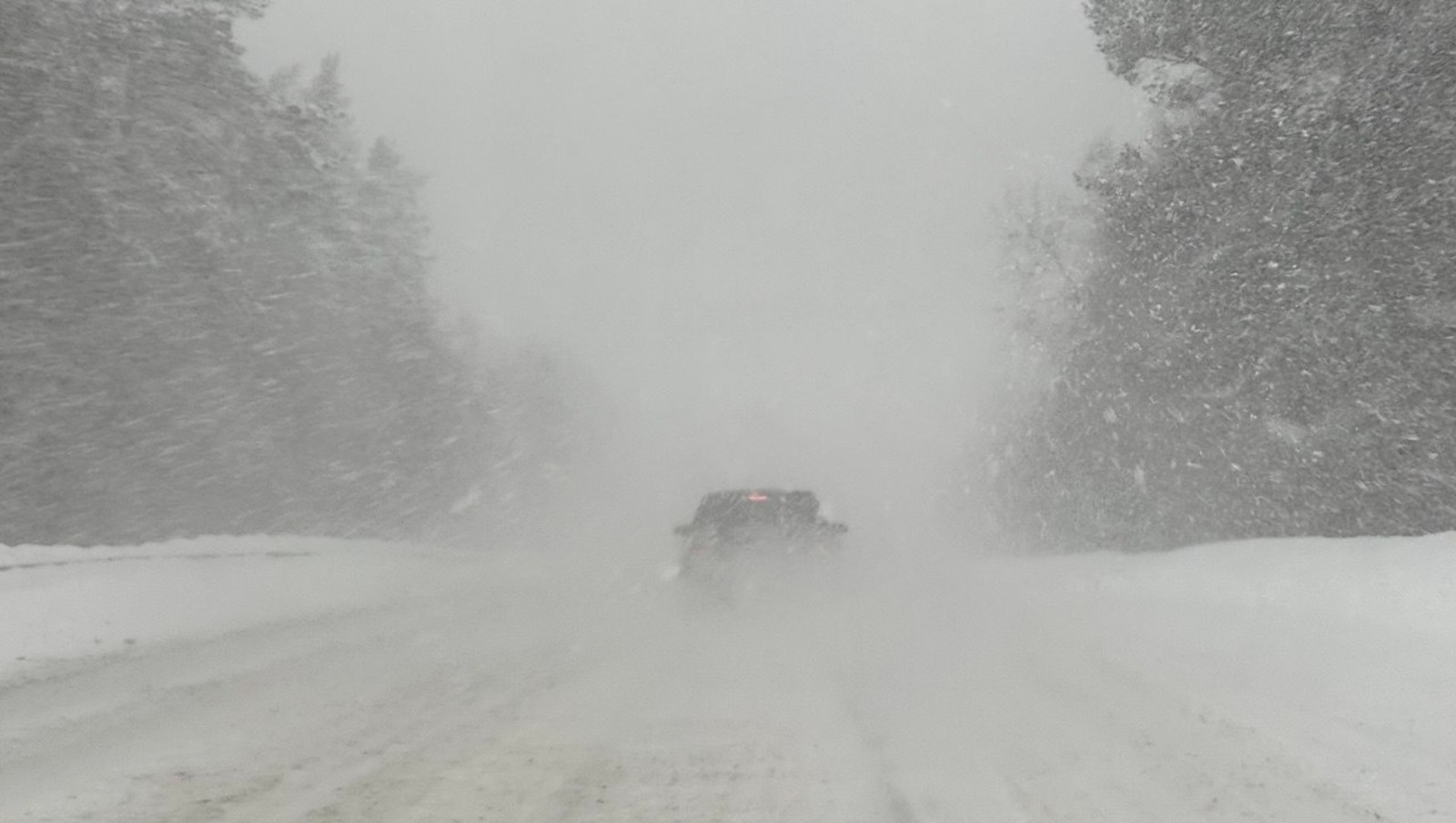 Елены Колоколовой.