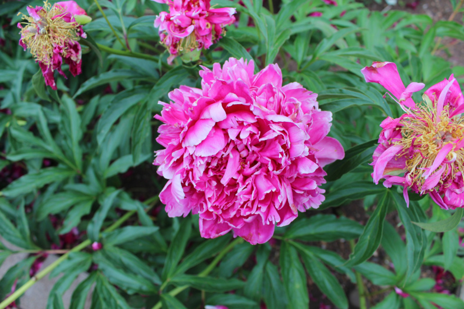 Фото автора.