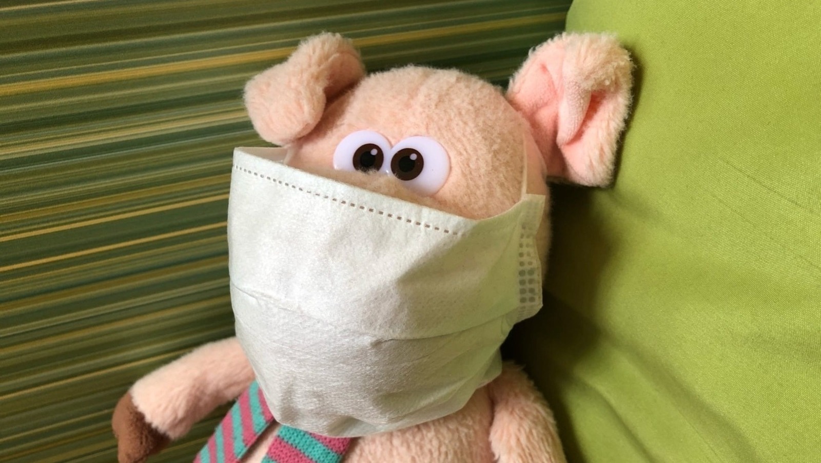 Елены Колоколовой.