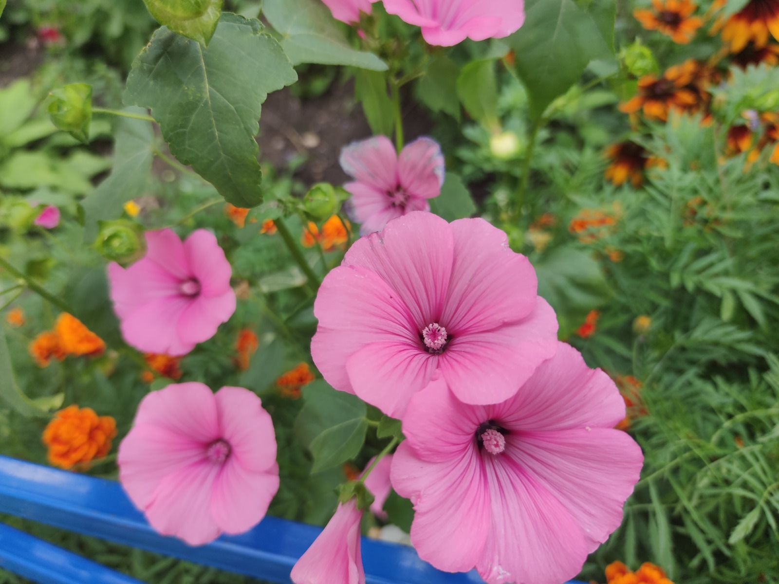 Дарьи Святохиной.