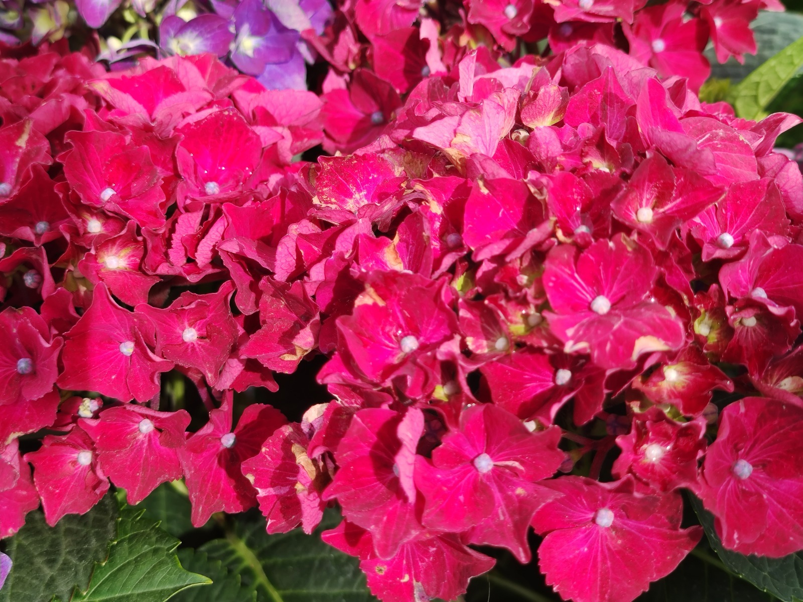 Дарьи Святохиной.