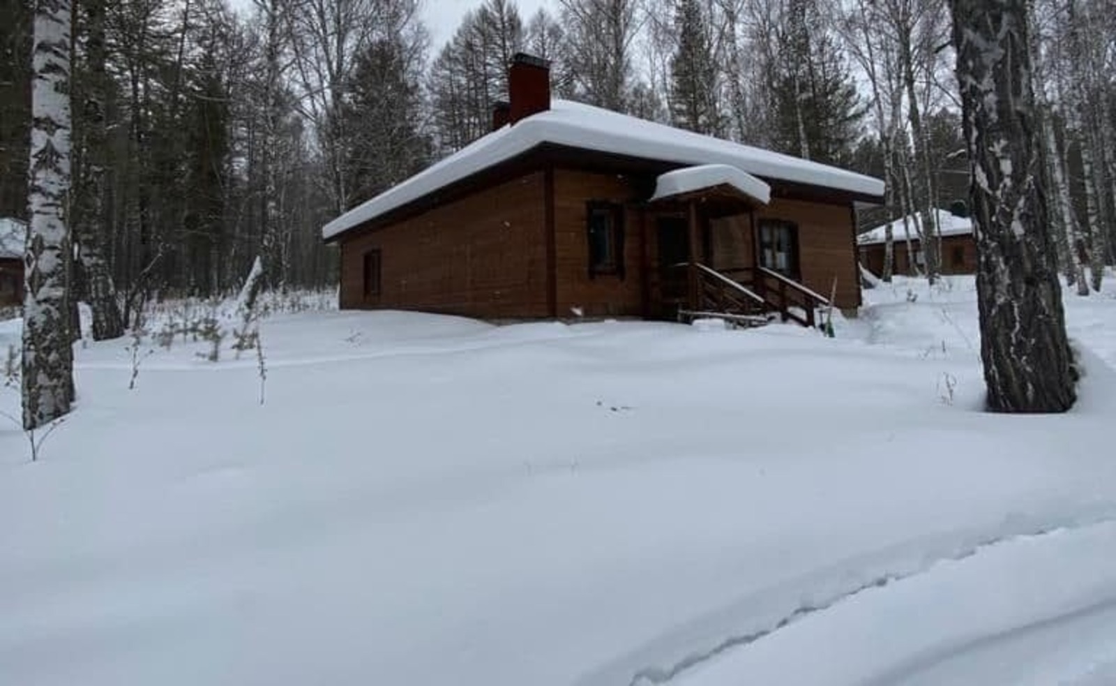 Елены Колоколовой.