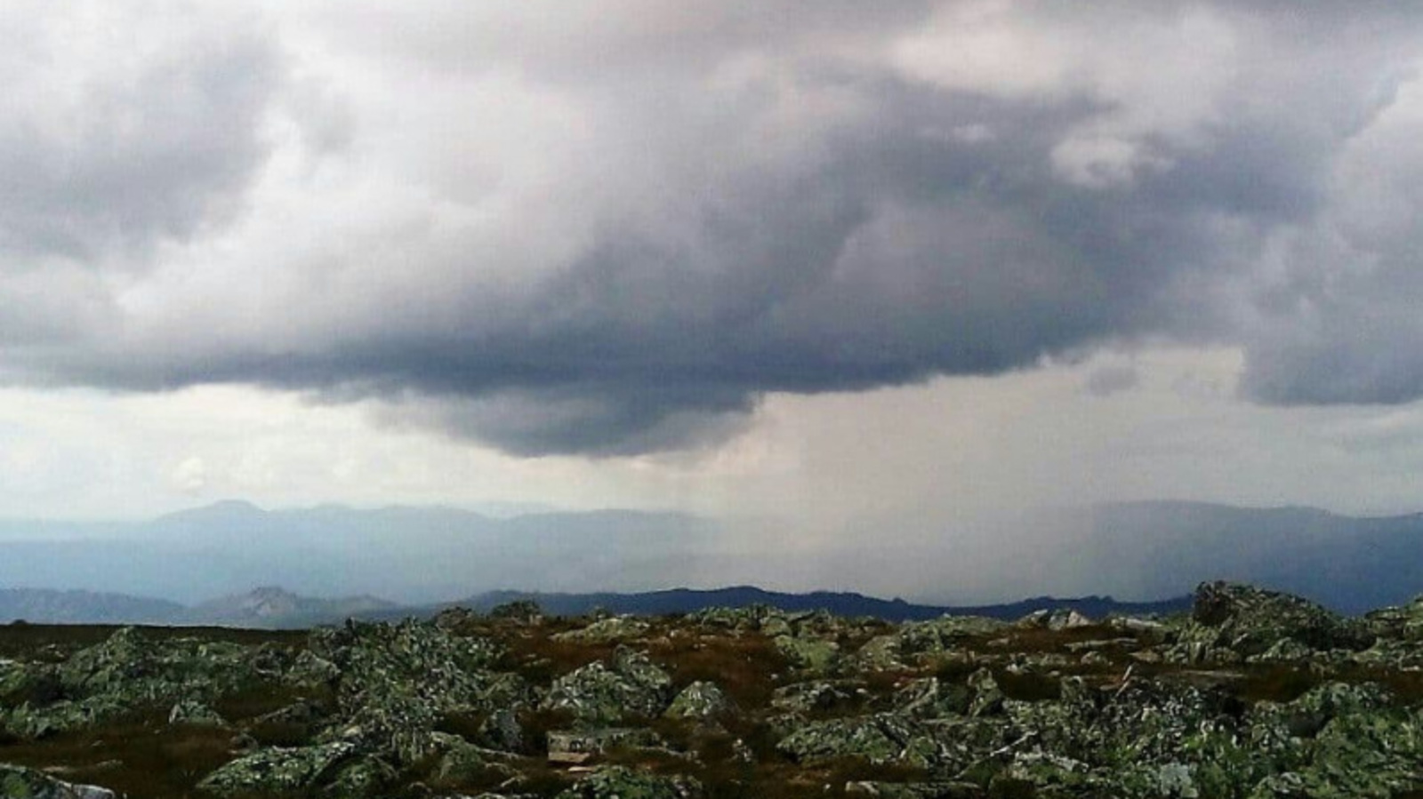 Фото Евгении Сюткиной.