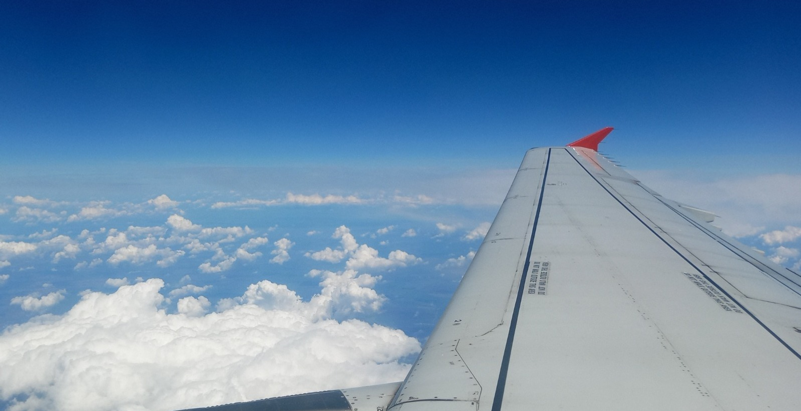 Евгении Сюткиной. «Общественная электронная газета».