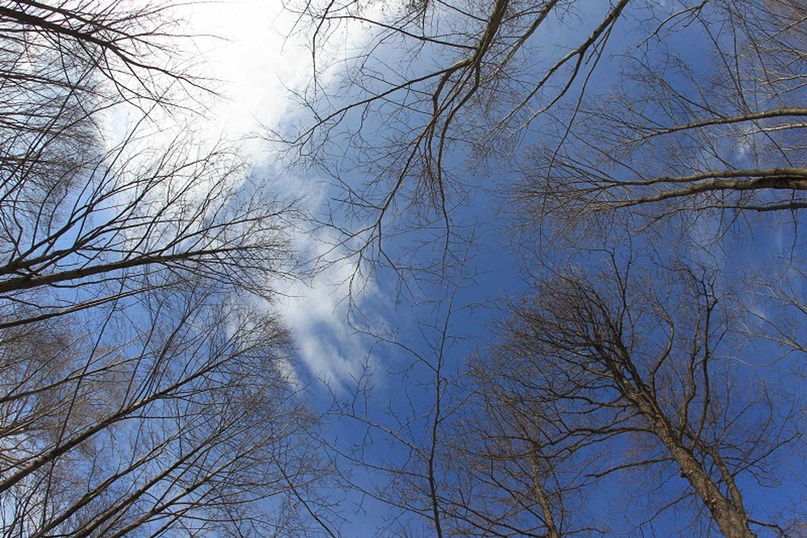 Фото Олега Яровикова.