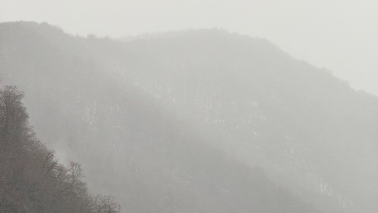 Елены Колоколовой. "Общественная электронная газета".