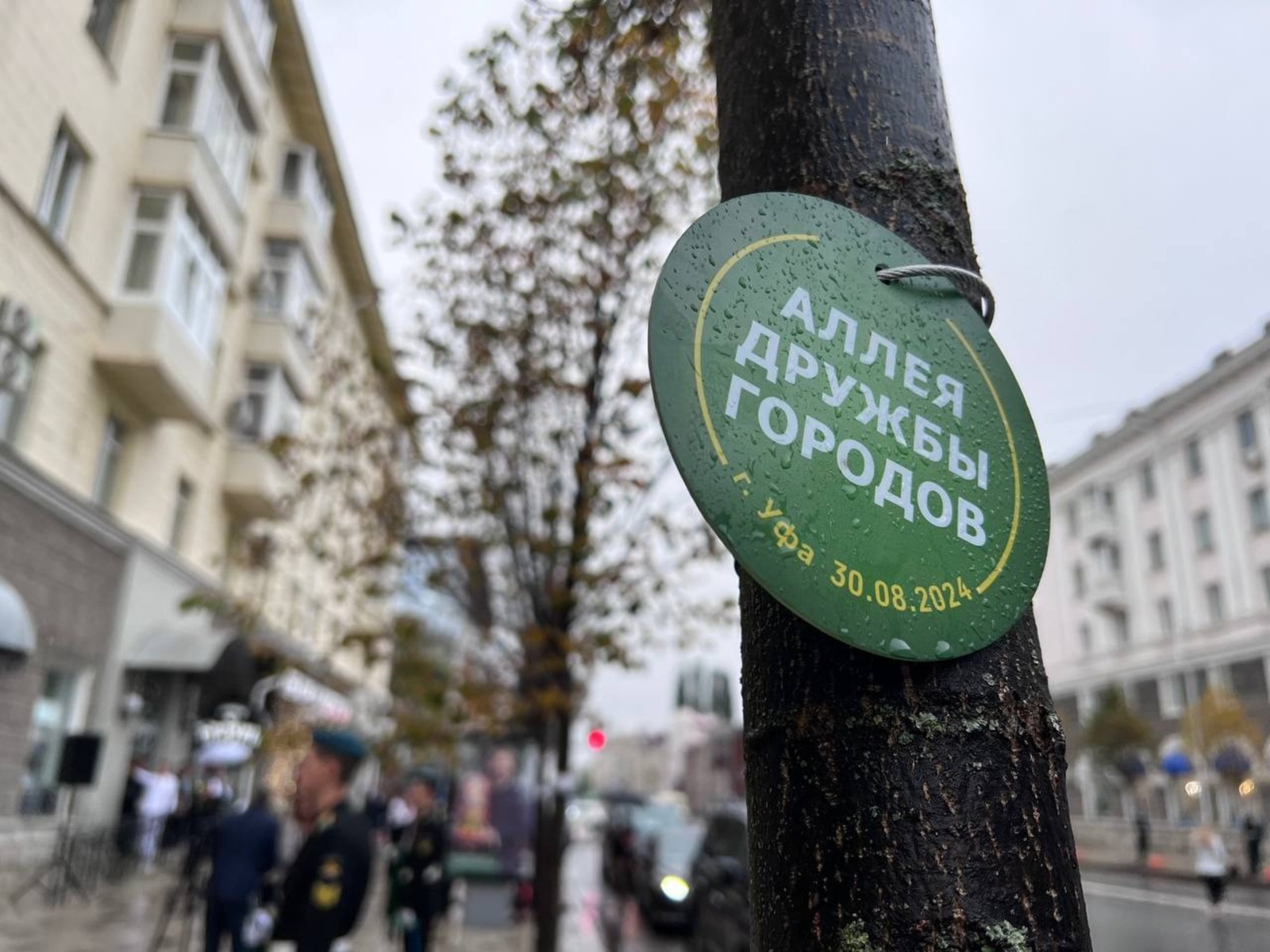 Telegram, личная страница Ратмира Мавлиева.